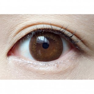 FLANMY Doughnut Brown 10片裝